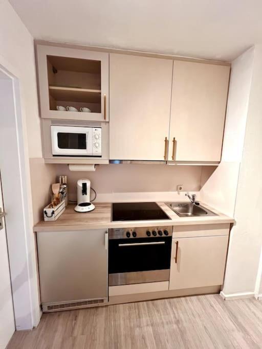 Stylish Studio Apartment With Beautiful Balcony Ingolstadt Exterior foto